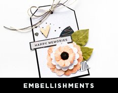 Embellishments_Block.jpg